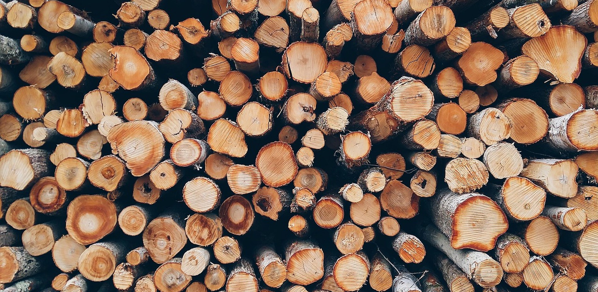 BUILDING OPPORTUNITIES FOR EAST GIPPSLAND TIMBER WORKERS Main Image